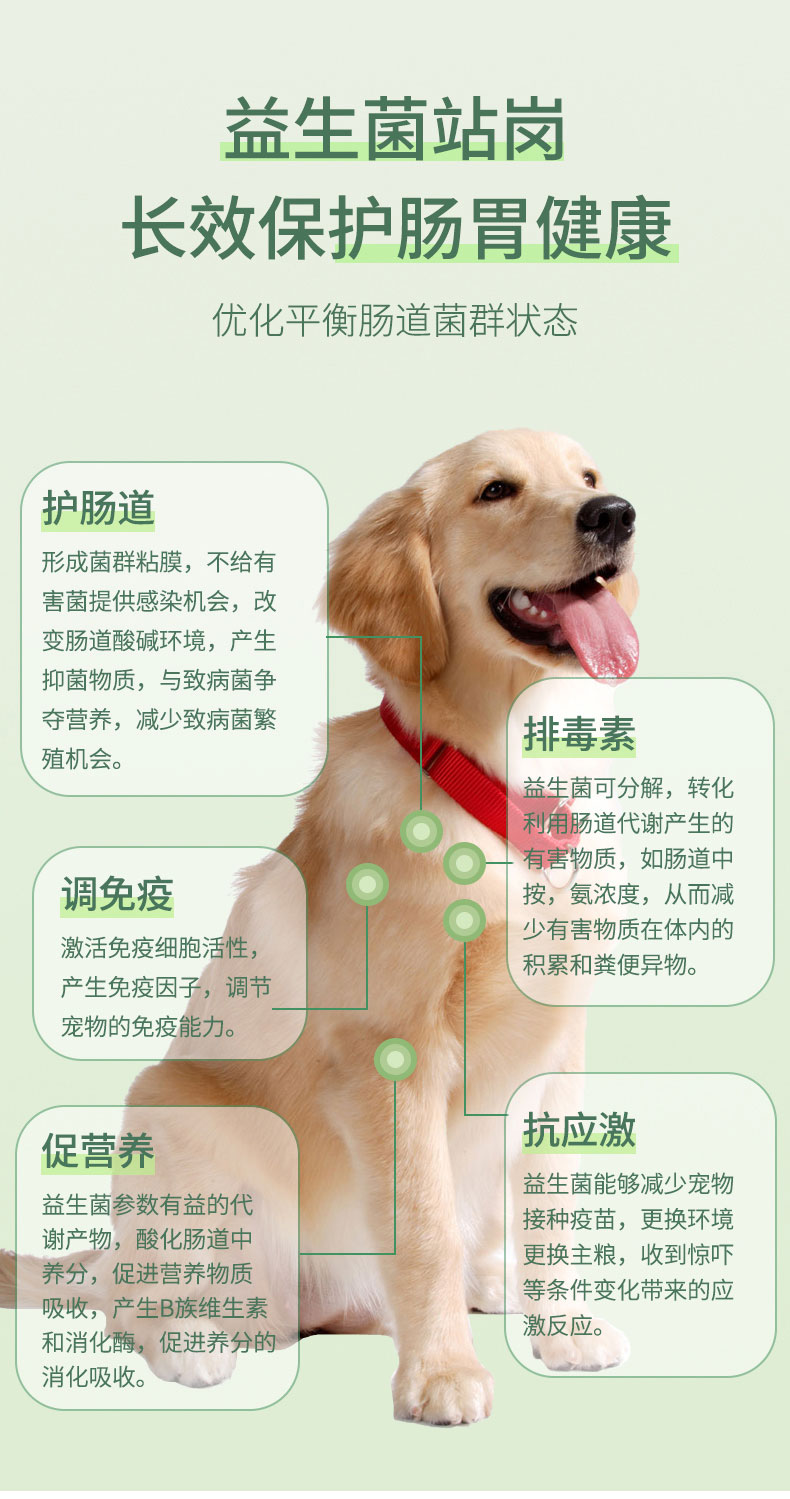 犬益生菌0_06.jpg