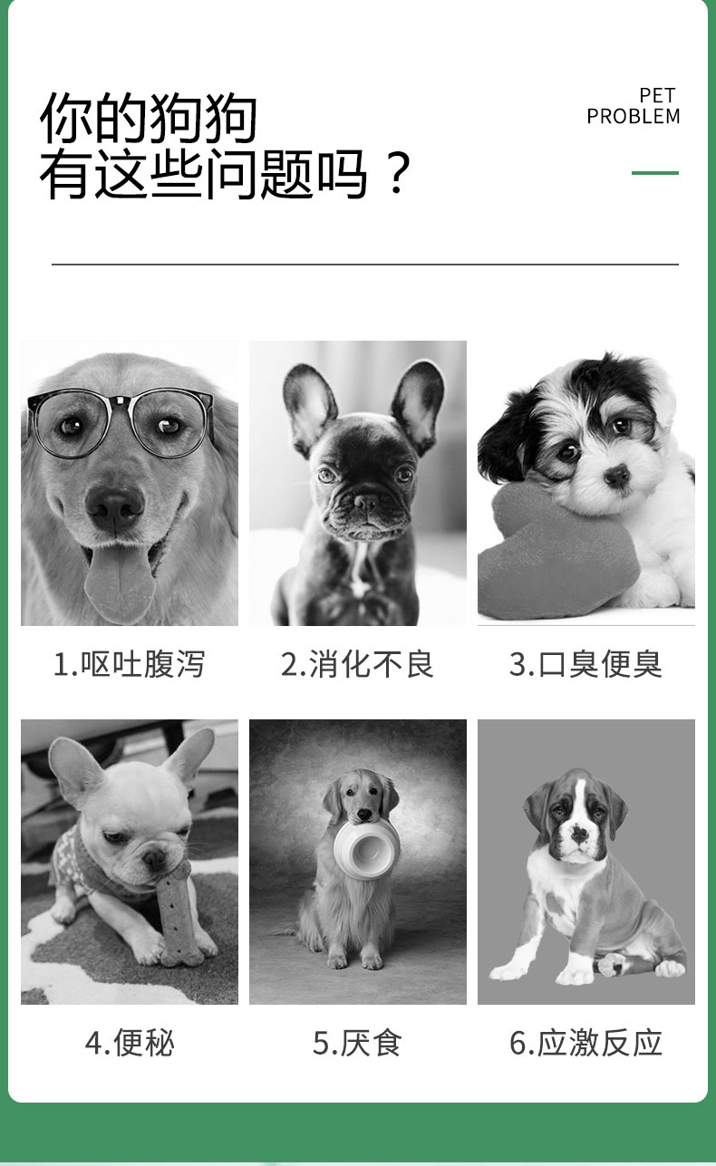 犬益生菌0_02.jpg